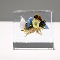 Paul J. Stankard Botanical , Bee Study Paperweight - Sold for $1,920 on 11-04-2023 (Lot 536).jpg